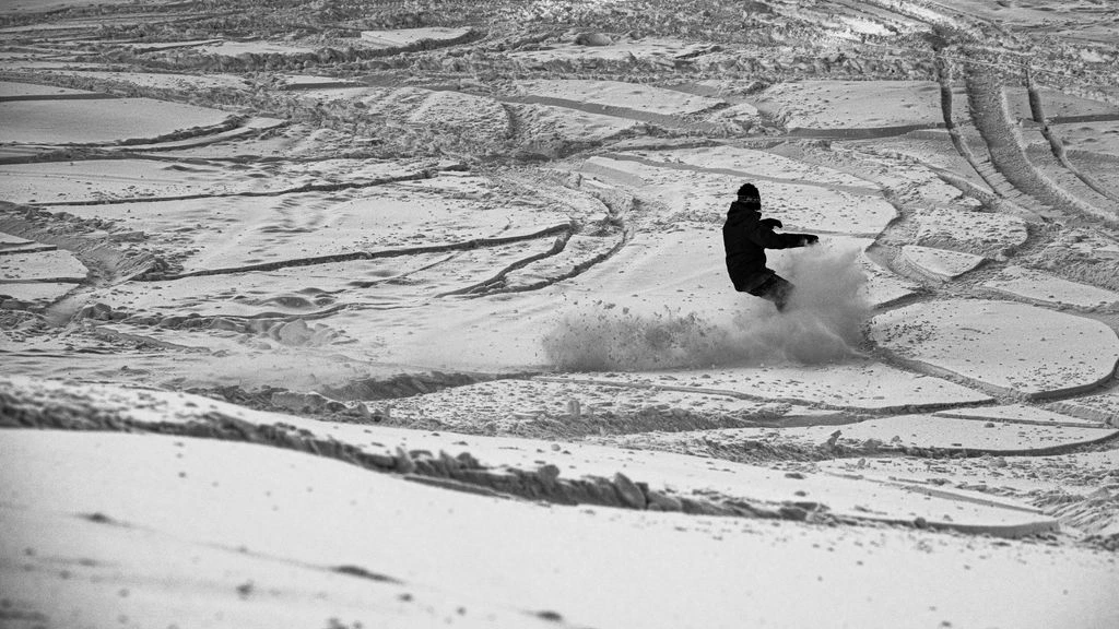 An open powder face with a single set of tracks cutting across it.